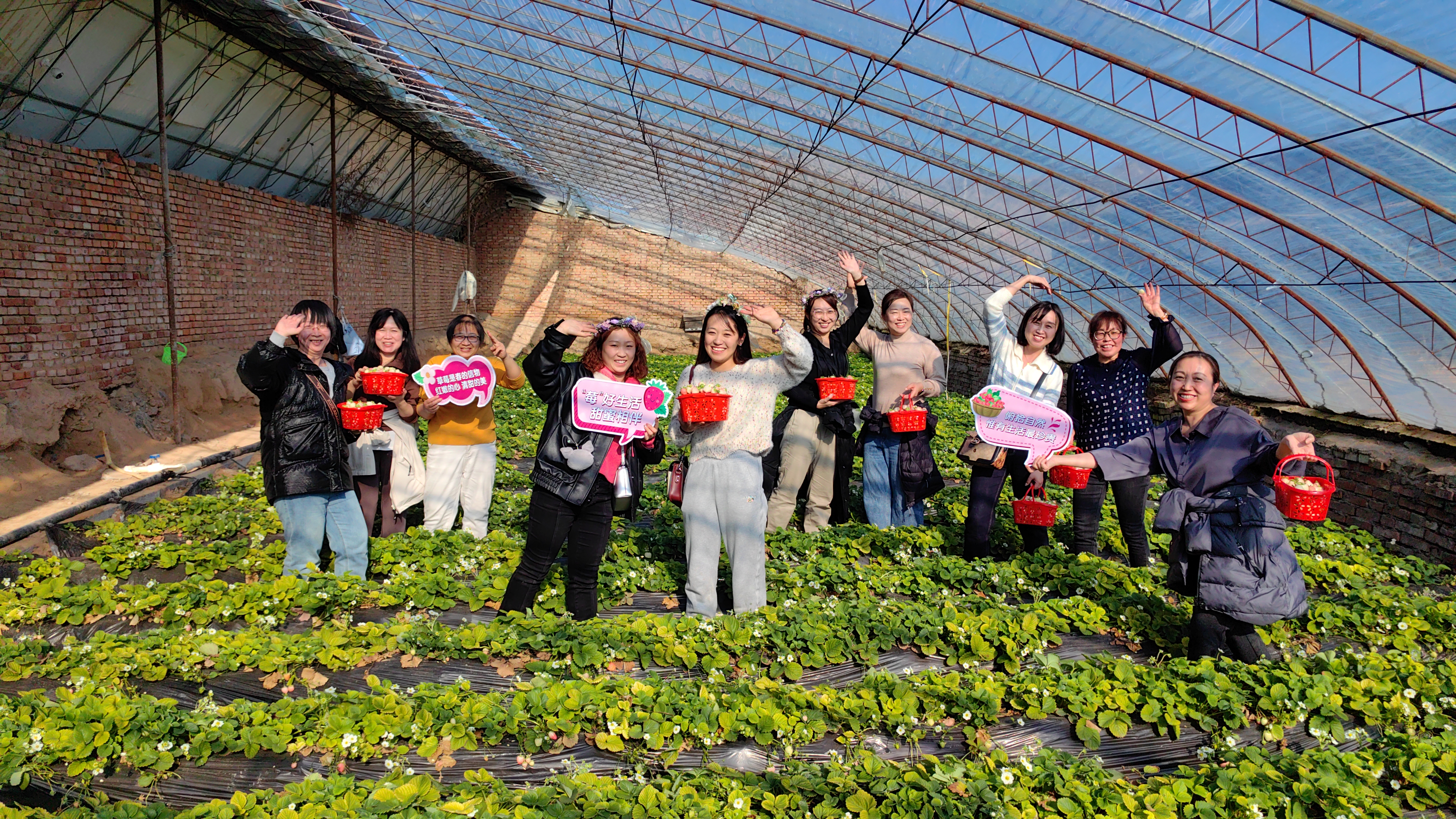 下花园女职工采摘风采.jpg